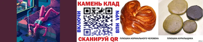 ГАШИШ индика сатива  купить наркотики сайты  Шлиссельбург 