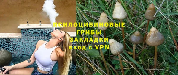 винт Абаза