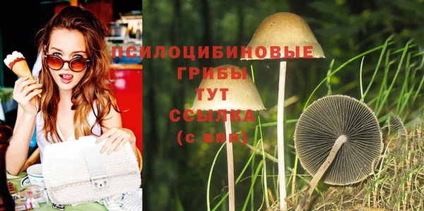 винт Абинск
